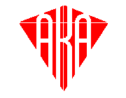 American Kite Flyers Association