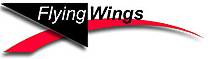 Flying Wings Kites