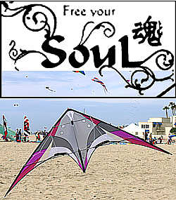 Flying Wings Soul