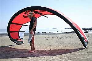 Red Ozone Instinct