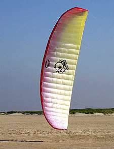 Yakuza Kite
