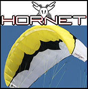 Peter Lynn Hornet 4 Line Power kite