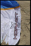 8 meter peter lynn hornet 4 line power kite