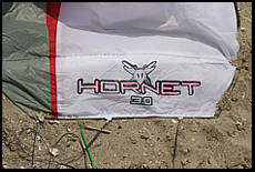 peter lynn hornet traction buggy kite