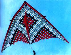 11 Foot Delta Red White Black Mesh