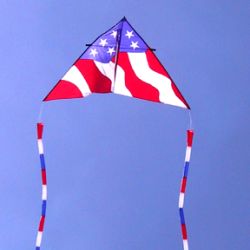 11 Foot Delta Patriotic Design