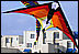 Premier Wolf Kite - Spider Series