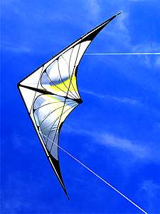 Quantum Pro in flight