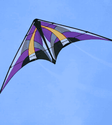Image result for kite gif
