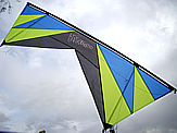 Rev 1.5 SLE Blue Lime Blue Black