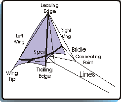 Standard 2 Line Kite