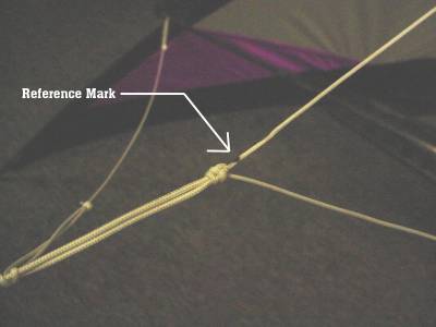 Bridle after adjustment