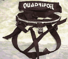 Quadrafoil Waist Harness