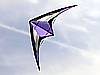 Professional Stunt sport kites