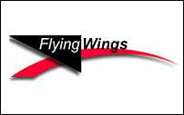 Flying Wings Kites