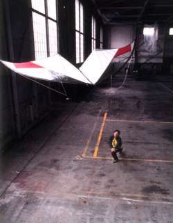 Mark Reed from Prism Kites flying Indoor Vapor