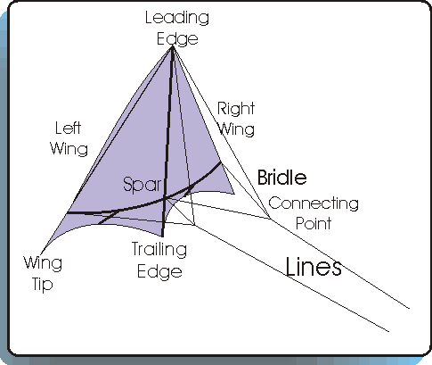 Standard 2 Line Kite