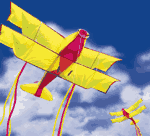 Bi-Plane single line kite.