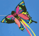 Butterfly single line kite.