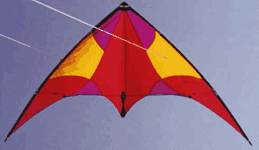 Dual line stunt kite.