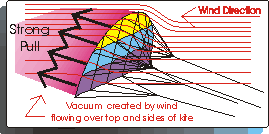 Power Kite Vacuum